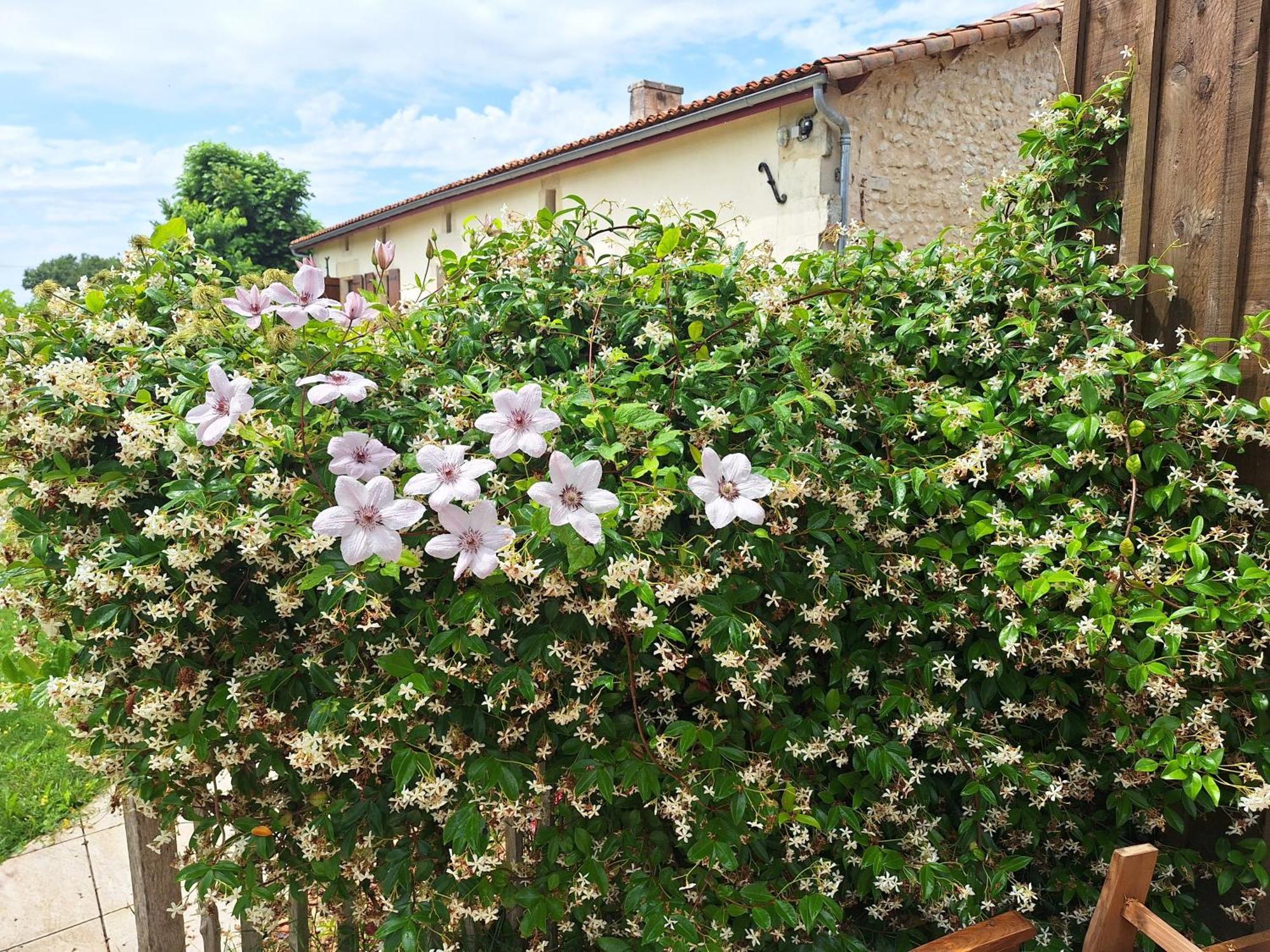 Gite Cosy Grand Confort Dans Un Ecrin De Verdure Agudelle 외부 사진
