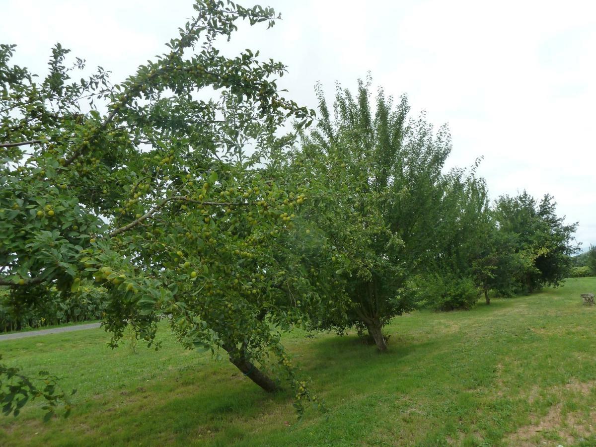 Gite Cosy Grand Confort Dans Un Ecrin De Verdure Agudelle 외부 사진